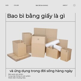 Bao bì bằng giấy là gì và ứng dụng trong đời sống hàng ngày