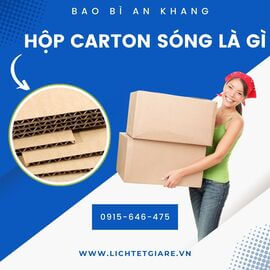 Hộp carton sóng là gì? Có mấy loại