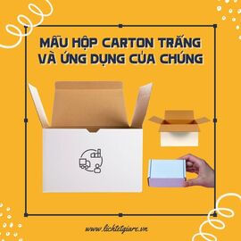 Mẫu hộp carton trắng và ứng dụng của chúng