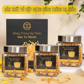 Sản xuất vỏ hộp đựng đông trùng hạ thảo