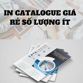 In-Catalogue-gia-re-so-luong-it