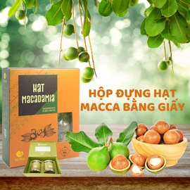 Hộp đựng hạt macca bằng giấy
