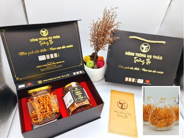 hop-dung-dong-trung-ha-thao