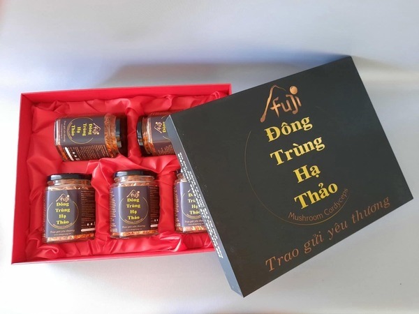 hop-dung-dong-trung-ha-thao