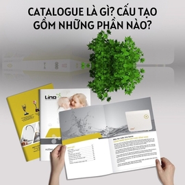 Catalogue là gì? Cấu tạo gồm những phần nào