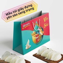 Mẫu túi giấy đựng yến sào sang trọng