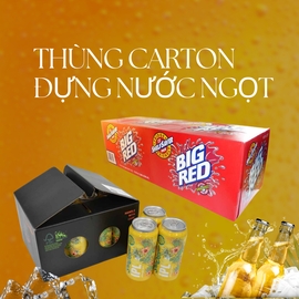 In thùng Carton đựng nước ngọt ở Hồ Chí Minh
