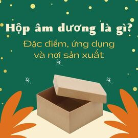 Hộp âm dương là gì? Đặc điểm, ứng dụng và nơi sản xuất