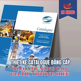 thiết kế catelog đẳng cấp