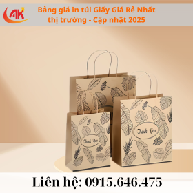 Bảng Giá In Túi Giấy Giá Rẻ Nhất thị trường - Cập Nhật 2025