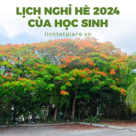  Lịch Nghỉ Hè 2024 cho Học Sinh THPT và THCS: Những Điều Phụ Huynh Cần Biết