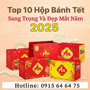 Top 10 Hộp Bánh Tết Sang Trọng Và Đẹp Mắt Năm 2025