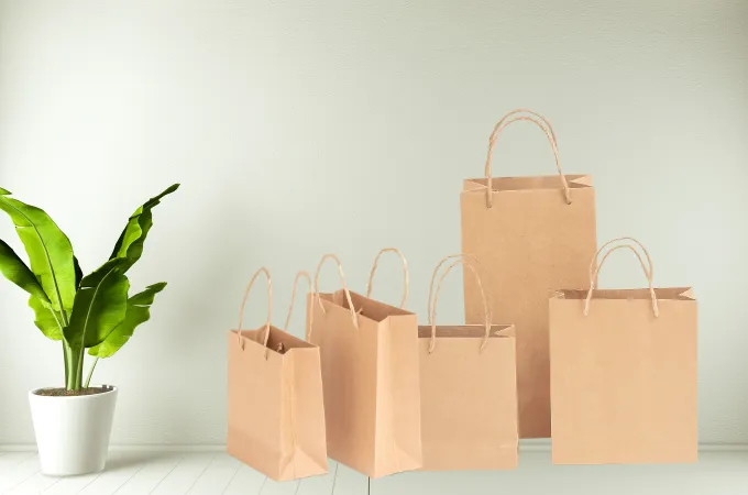 túi giấy